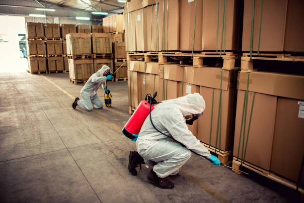 Best Flea Control Services  in Hoback, WY