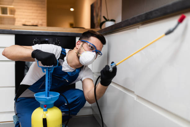 Best Wasp Removal Services  in Hoback, WY