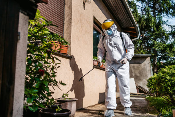 Best Pest Inspection Near Me  in Hoback, WY