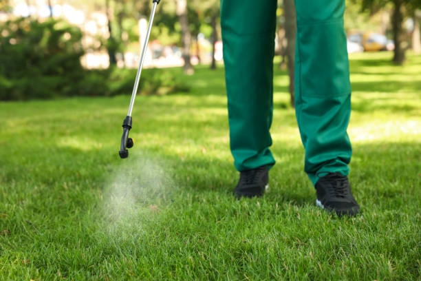 Best Best Pest Control Companies  in Hoback, WY