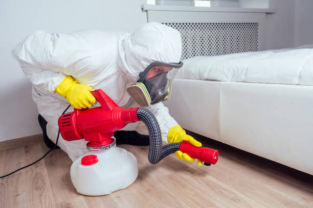 Best Wasp Removal Services  in Hoback, WY