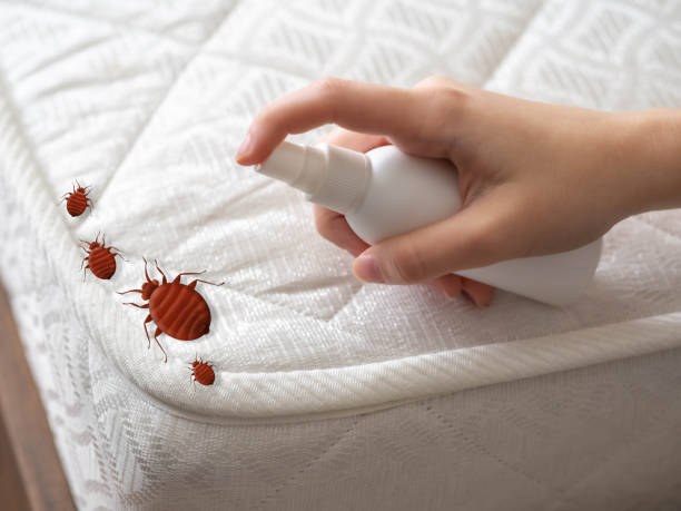 Best Emergency Pest Control  in Hoback, WY