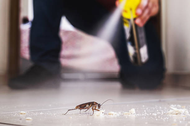Best Affordable Pest Control Services  in Hoback, WY