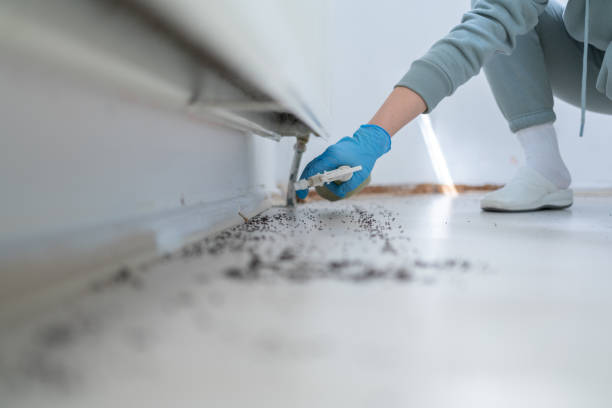 Best Pest Control for Businesses  in Hoback, WY