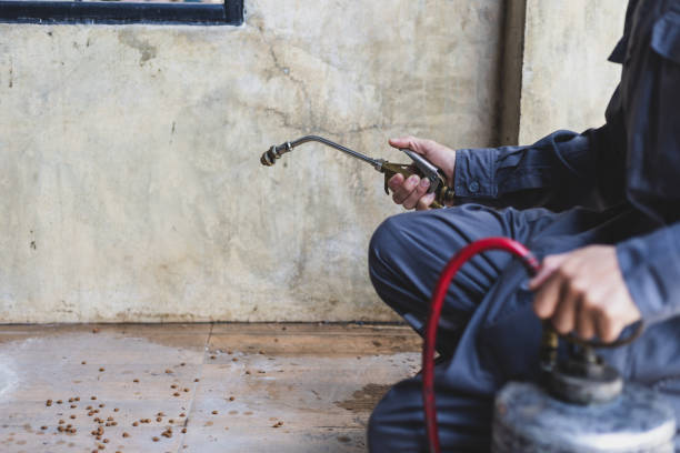 Best Pest Removal Services  in Hoback, WY